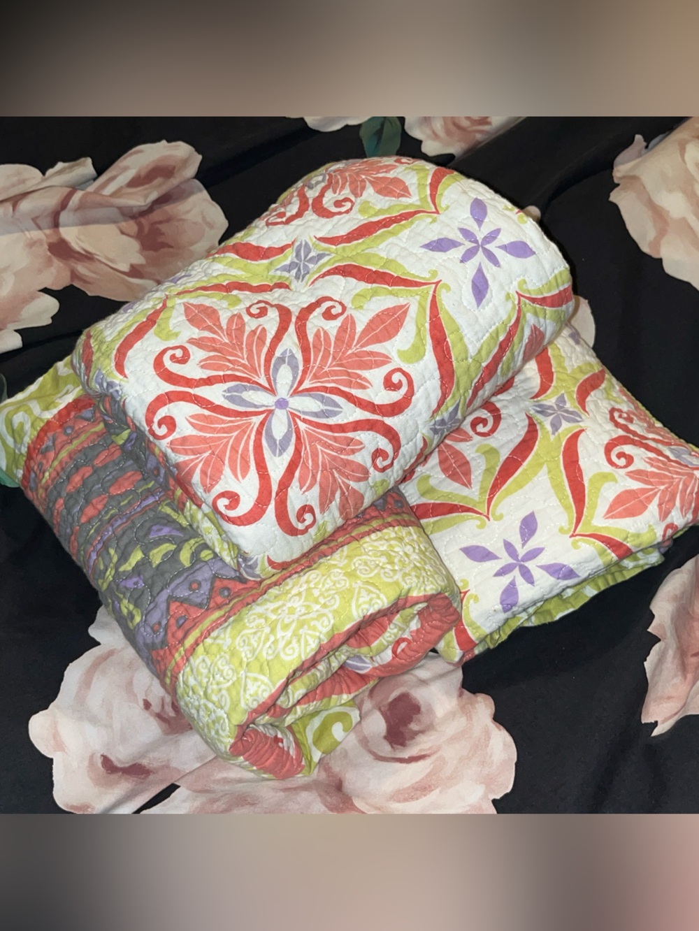 Soft Surroundings ~ Quilted Pillow Sham Set in Coral, Lime & Lavender~ 3 Shams